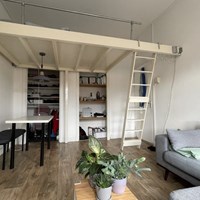 Nijmegen, Pater Brugmanstraat, kamer - foto 4