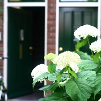 Rijswijk (ZH), Berkstraat, 2-kamer appartement - foto 4