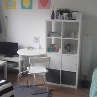 Groningen, Goudlaan, kamer - foto 5