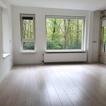 Zeist, Molenweg, 3-kamer appartement - foto 3