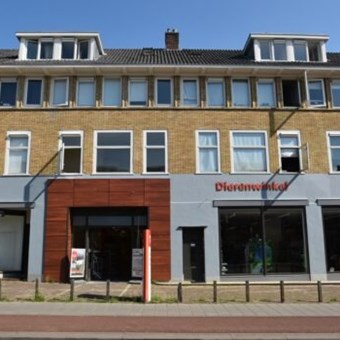 Arnhem, Amsterdamseweg, kamer - foto 2