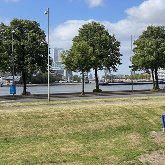 Rotterdam, Oostmaaslaan, 2-kamer appartement - foto 3