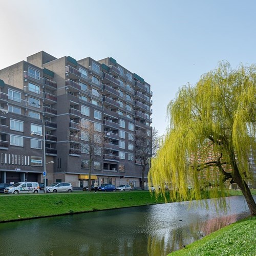 Rotterdam, Lange Hilleweg, 3-kamer appartement - foto 1